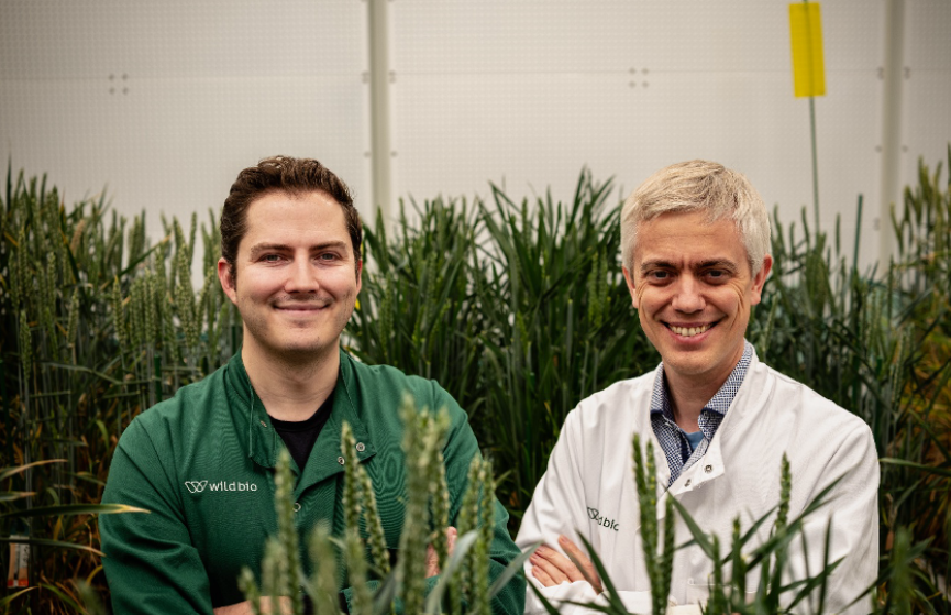 Wild Bioscience Oxford AI Crop Resilience