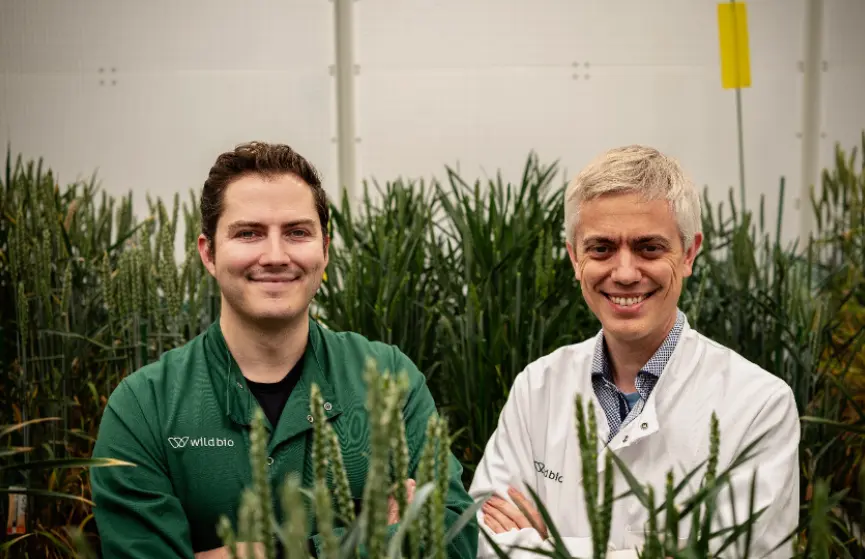 Wild bioscience 60m series a climate resilient crops